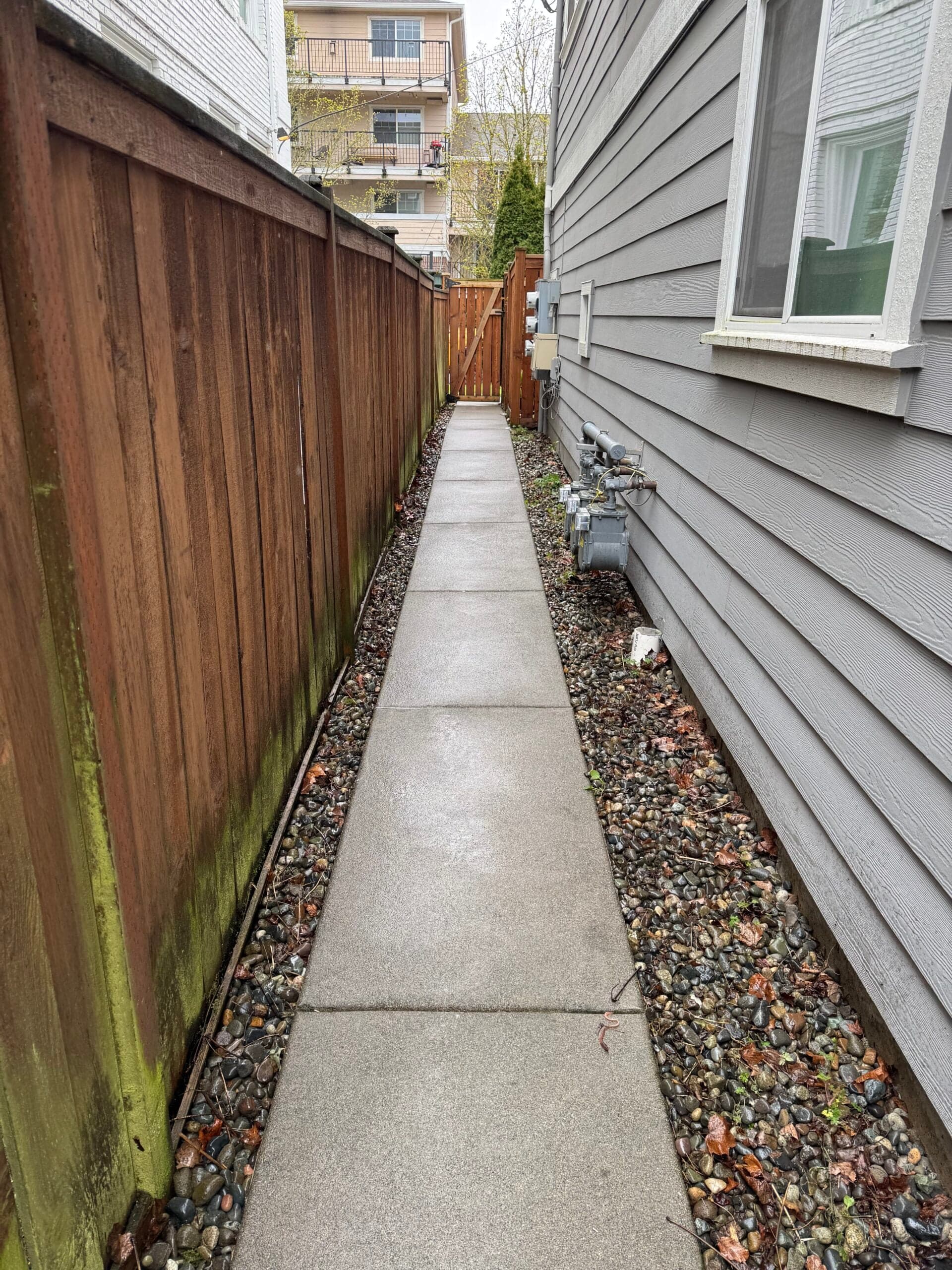 Clean concrete side path between a cedar fence and a gray house after washing